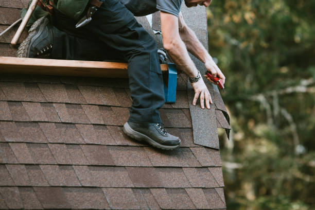 Roof Waterproofing Services in Lake Elmo, MN